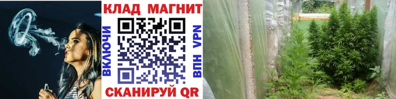 Альфа ПВП Дубовка