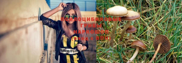 марки nbome Богородицк