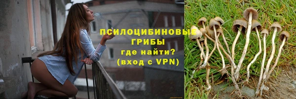 соль курить ск Богородск